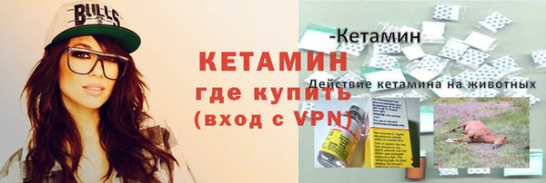 индика Новокубанск