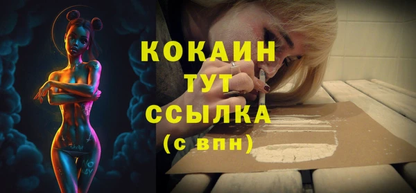 индика Новокубанск