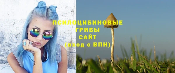 индика Новокубанск