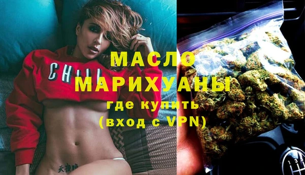 индика Новокубанск