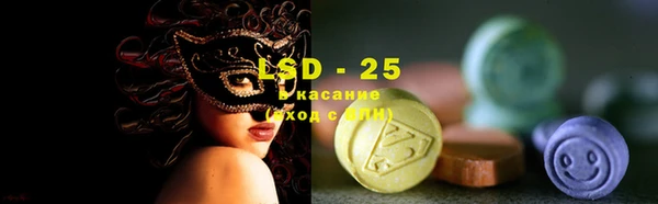 индика Новокубанск