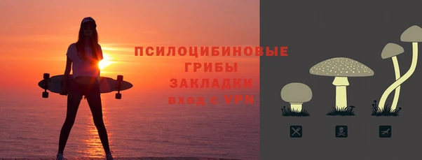 индика Новокубанск