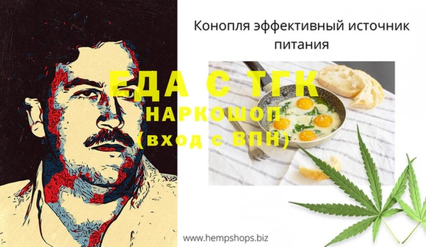 индика Новокубанск