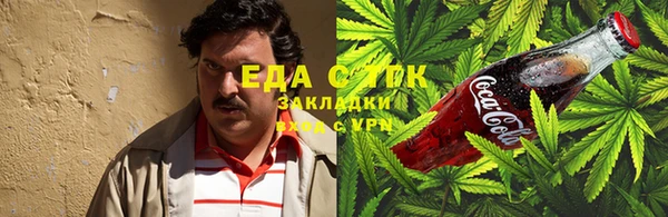 индика Новокубанск