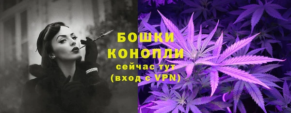 индика Новокубанск