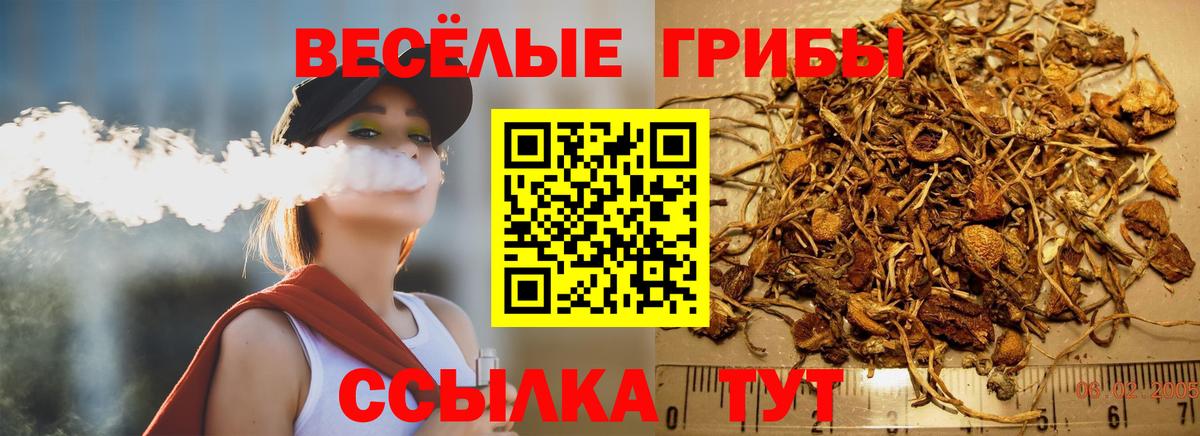 Псилоцибиновые грибы GOLDEN TEACHER  Киржач 