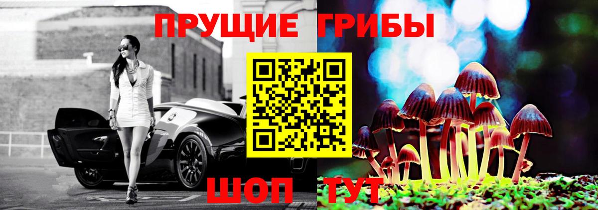 наркота  Галлюциногенные грибы прущие грибы  Вход с VPN  Киржач 